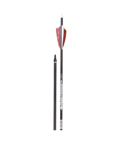 Fleetwood Legion Carbon Arrows